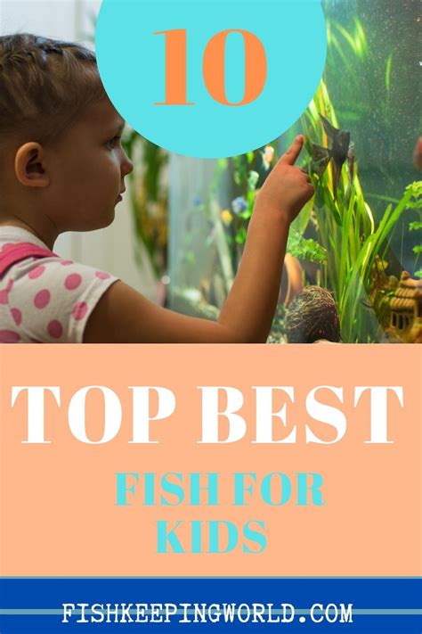 The Top 10 Best Fish for Kids .